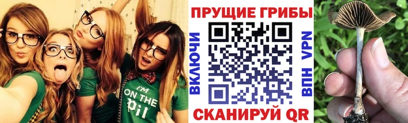 наркотики  Пойковский  Галлюциногенные грибы мухоморы 